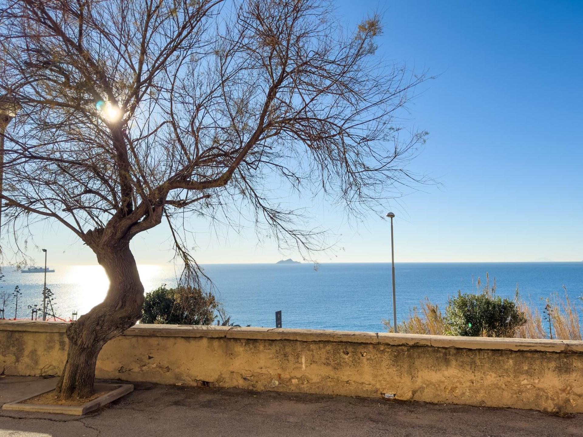 Bilocale Vista Mare-isola D'elba Al Castello Di *